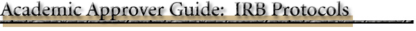approver_guide_irb