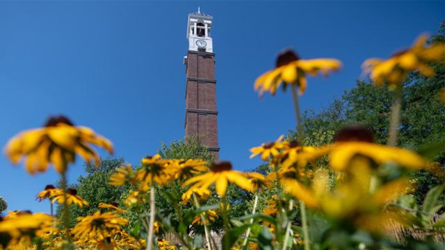 A view of the clocktower with yellow flowers in the foreground.