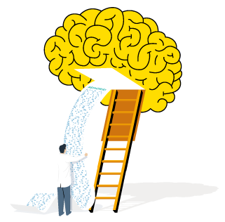 Ladder to brain image