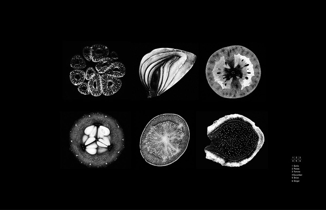 Fruit-MRI.jpg