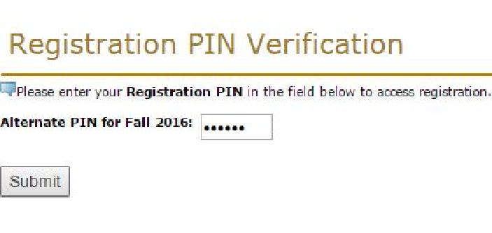 Registration PIN Verification