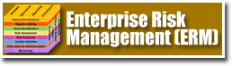 Enterprise Risk Management (ERM)