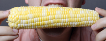 ear of sweet corn