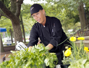 Farmers Market Smink