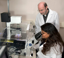 Richard Kuhn, Joyce Jose Dengue virus