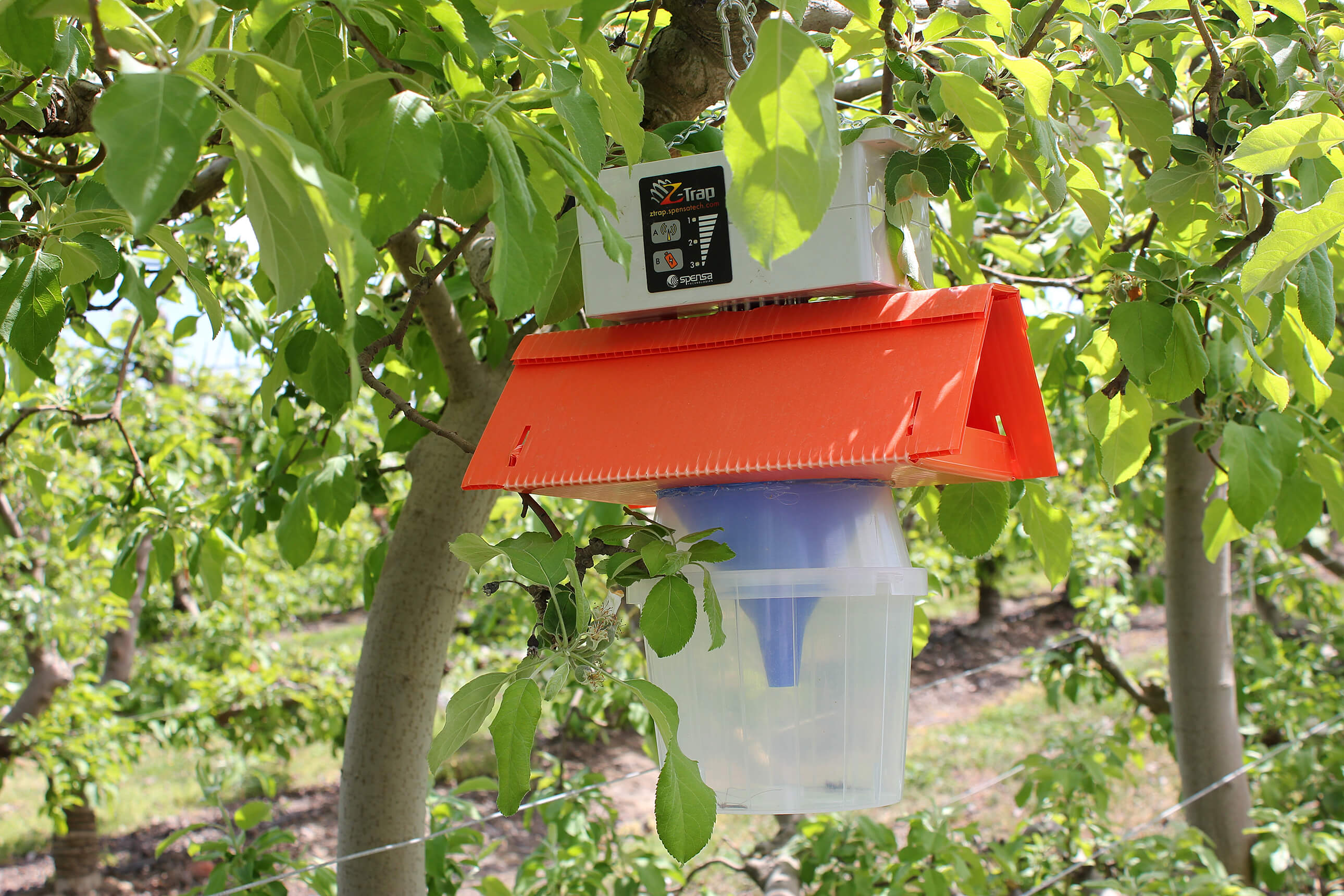 Agricultural company receives 630,000 dollars to further development