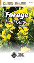 Forage guide