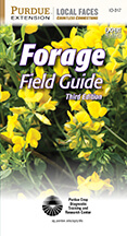 Forage guide
