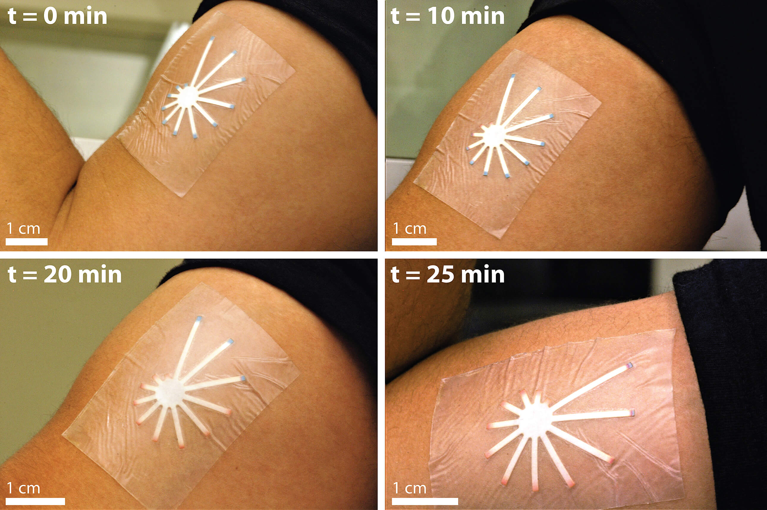 Low-cost paper-based skin monitors dehydration changing color from - Purdue University News