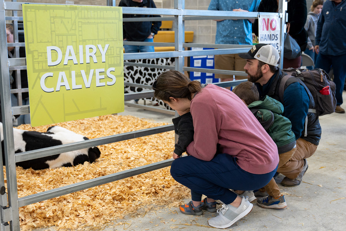 Club Cow Dairy Club on the Moove - Vice Provost for Student Life - Purdue University