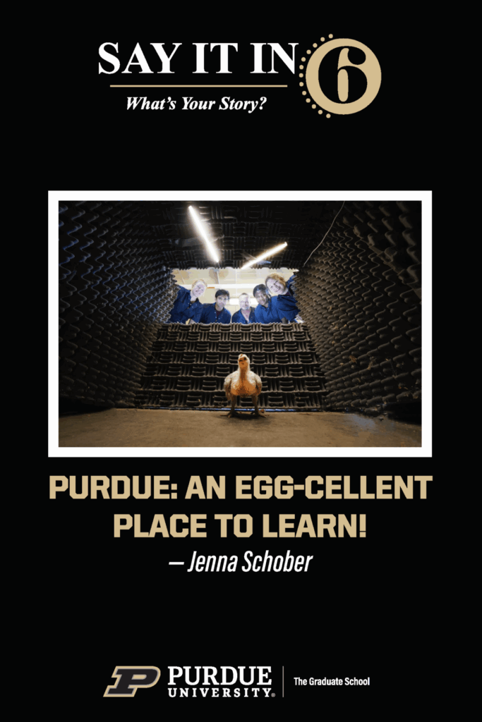 A chick inside a dark box with students looking in from a small opening in the back of the box with the caption, "Purdue: An Egg-cellent place to learn."