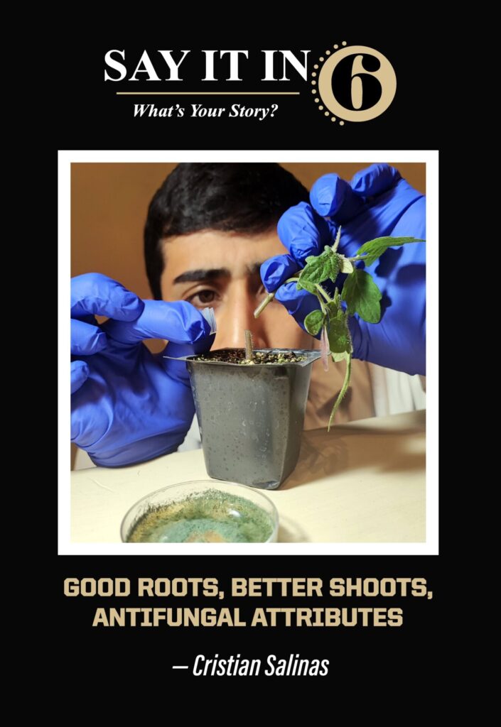 Person repairing a plant in a lab with the caption "Good Roots, Better Shoots, Anti-fungal Attributes."