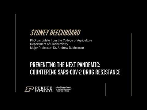 3MT - Sydney Beechboard