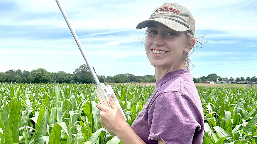 Purdue PhD student Susanna Berg is studying how to protect food systems in a corn field. 