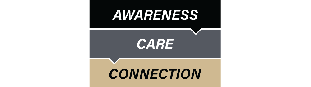 Graphic with three boxes. The first box is labeled "Awareness" and leads into the second box. The second box is labeled "Care" and leads into the third box. The third box reads "Connection".