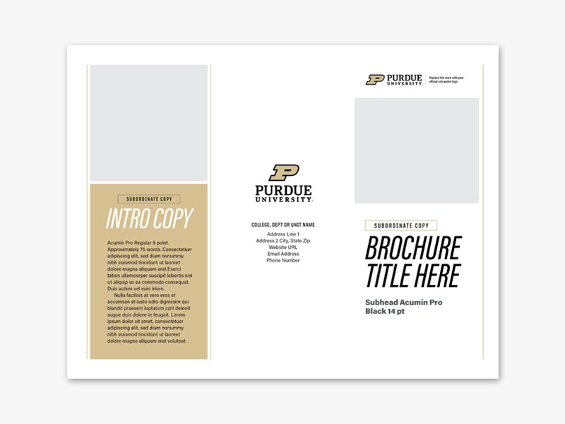 Co-Brand Trifold Brochure Template 1