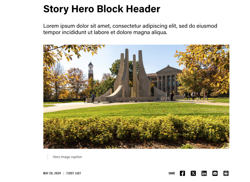 Example of Story Hero block.