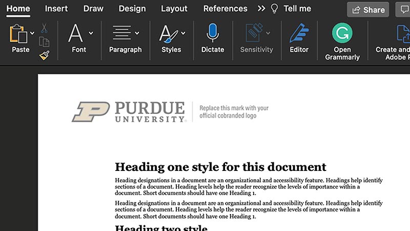 Screenshot of Word