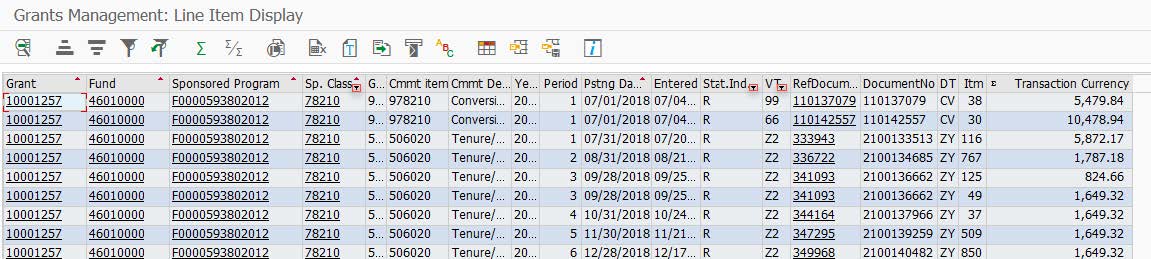 Grants Line-item Display Filter Icons