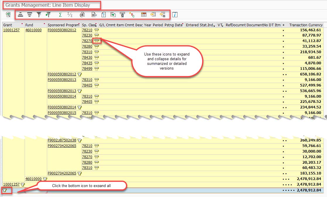 Sample 1 - Grants Management Line-item Display Report - Summarized