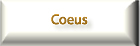 Coeus Website Logo