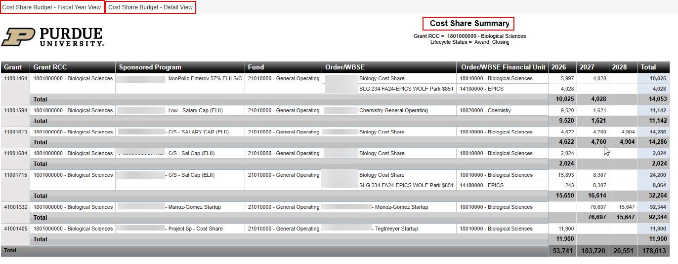 Cognos Cost Share Summary report in the Cost Share Budget layout.