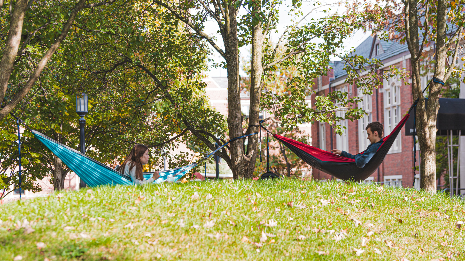 Two students in hammocks in fall.