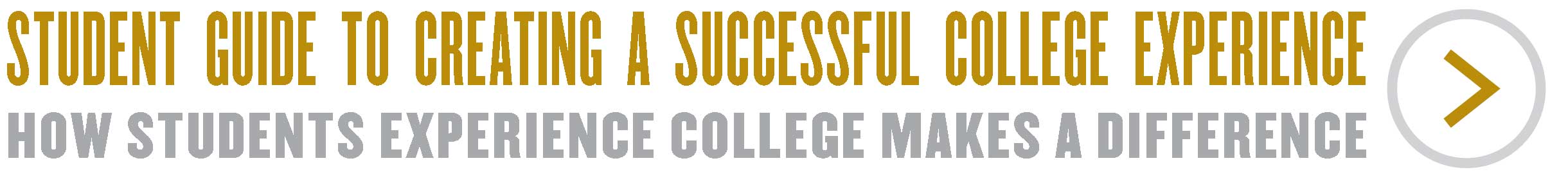 Student Guide to Creating a Successful College Experience - How Students Experience College Makes a Difference