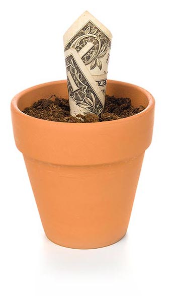 A dollar sign in a planting pot