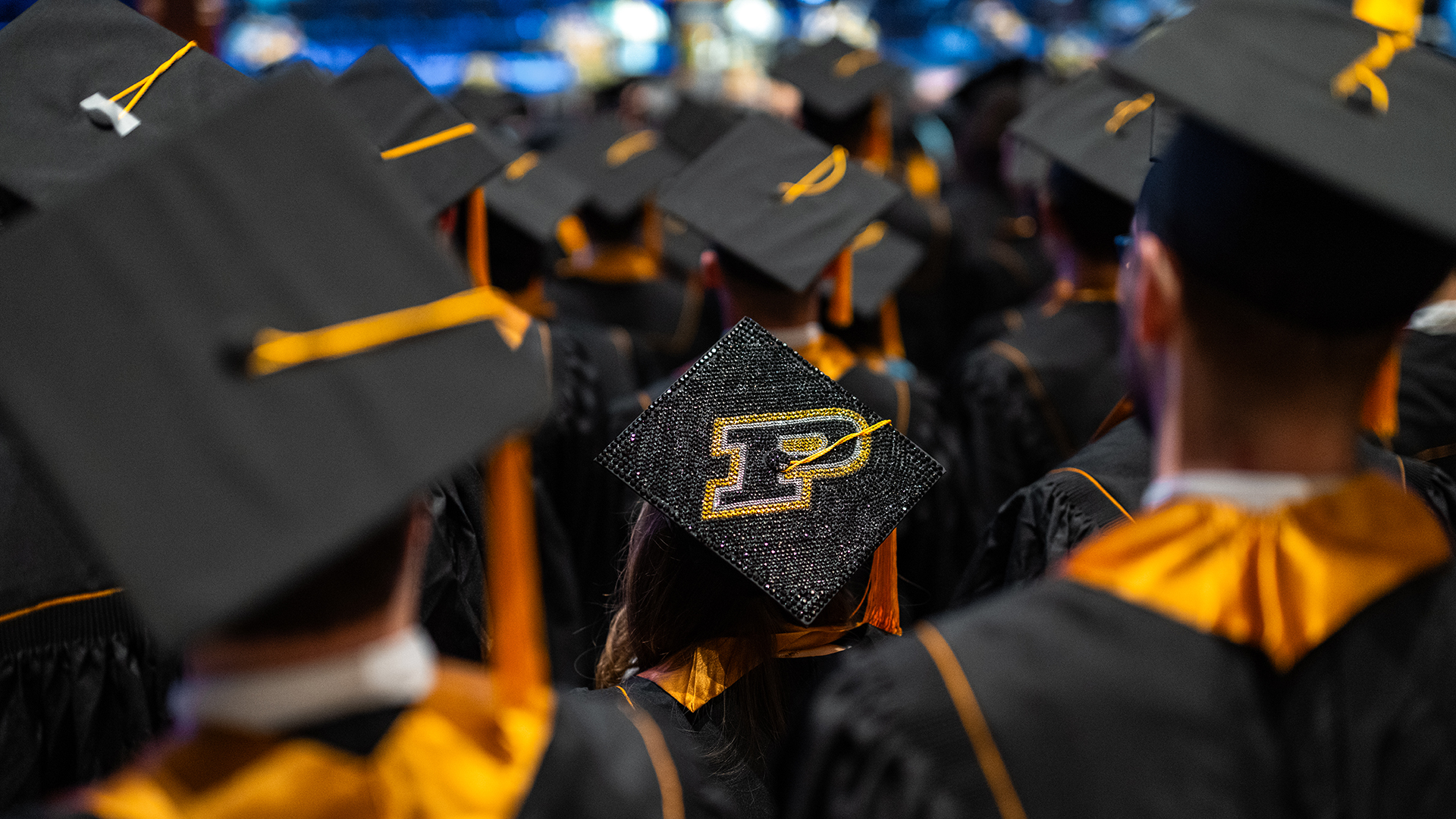 The backs of graduates facing the stage at commencement with a focus on a custom motion P mortar board