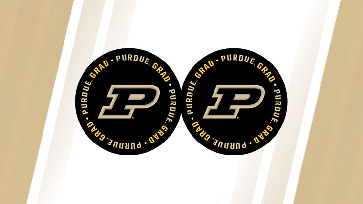 Image of Large Circles Cake Topper for Download