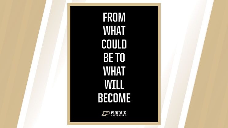 Image of 8.5x11 What Could Poster Download