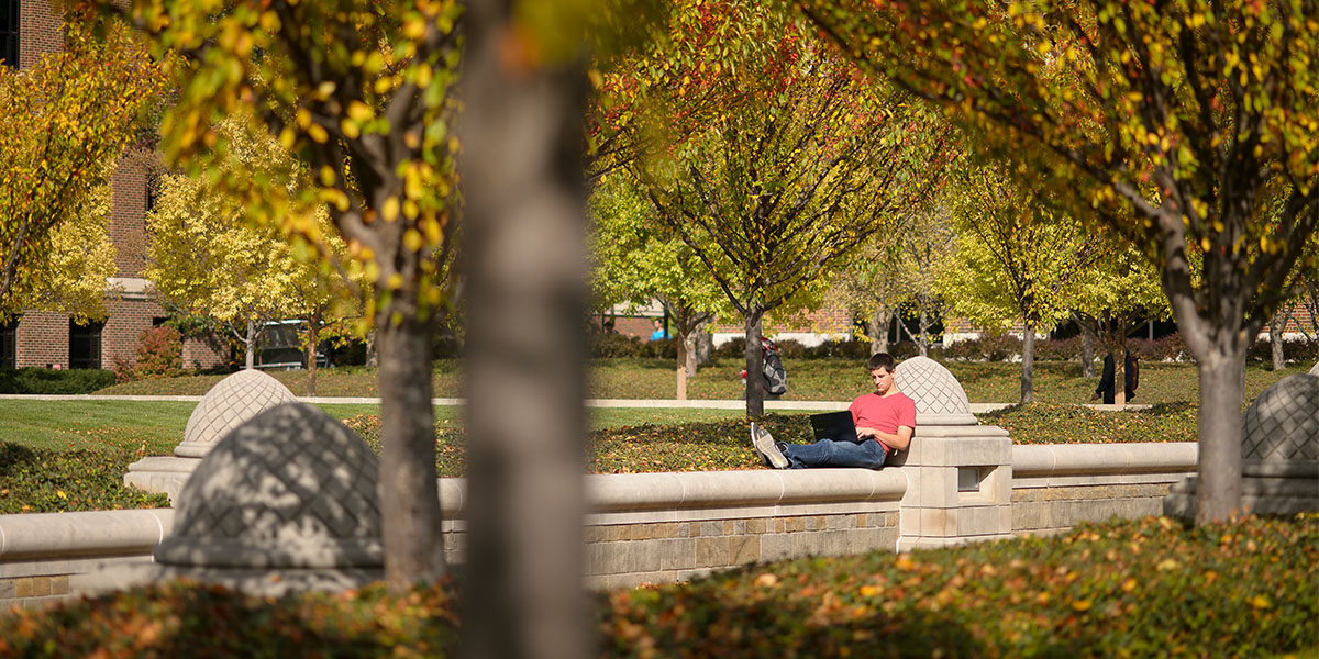 Student works on laptop outside on Purdue's fall campus