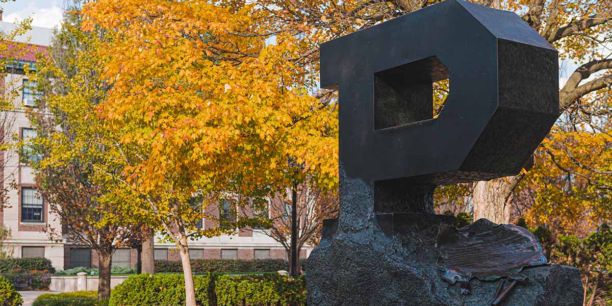 Block P on campus during the fall