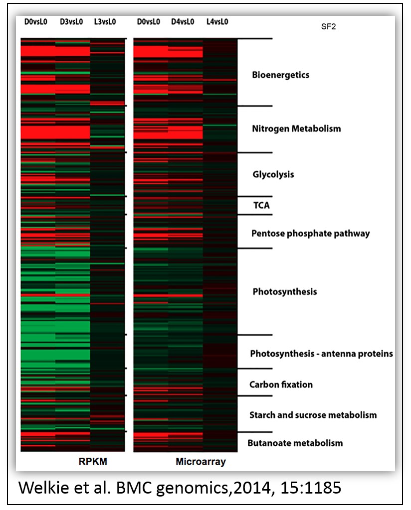Heatmap of selected genes in microarray and RNA-seq methods