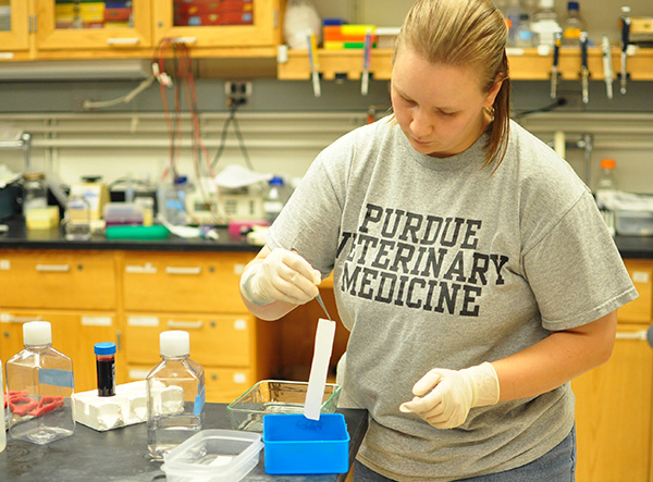 CPIP student doing lab work