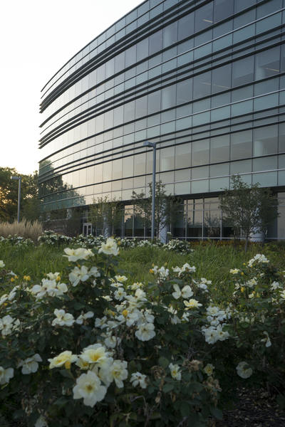 DLRC_evening_vertical