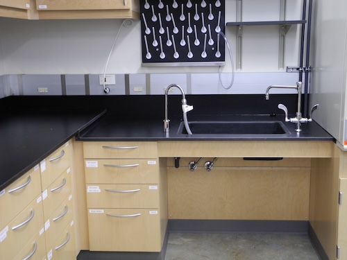 An accessible laboratory sink developed by Duerstock and fellow researchers.
