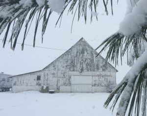 snowy barn scene