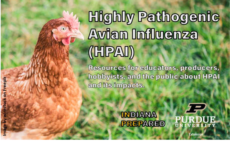 Title Page that states: Highly Pathogenic Avian Influenza with a picture of a chicken