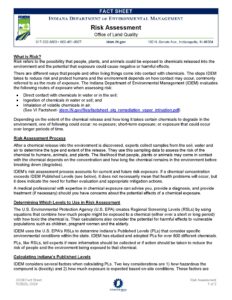 Risk Assesment PDF Link