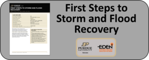 Icon image linking to First Steps to Storm and Flood Recovery pdf publication