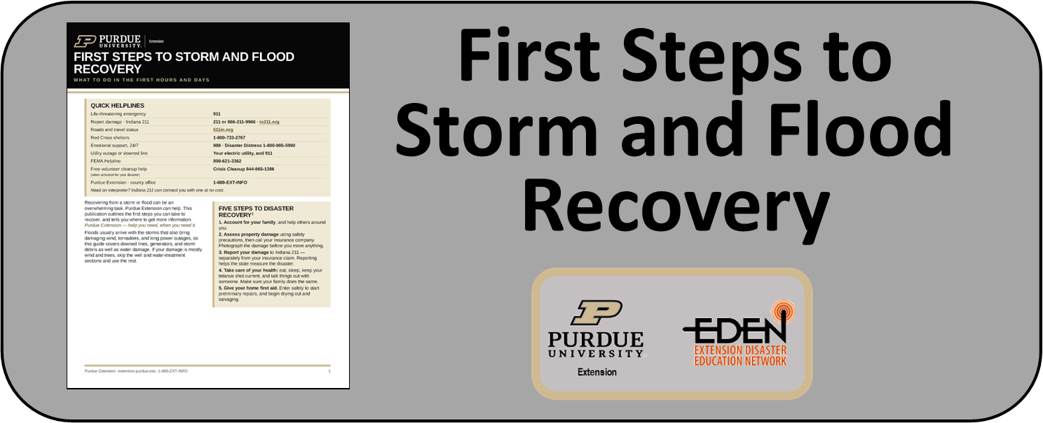 Icon image linking to First Steps to Storm and Flood Recovery pdf publication