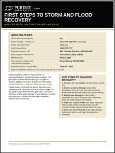 Cover of First Steps to Flood Recovery. Links to PDF document.