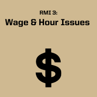 Wage & Hour Issues