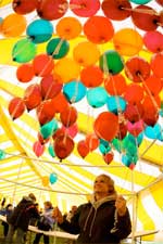 Spring Fest and the wonders of Bug Bowl