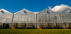 Dow AgroSciences greenhouses