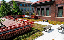 Schleman Hall Green Roof