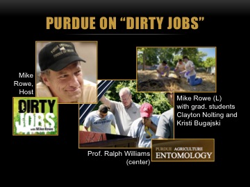 Dirty Jobs