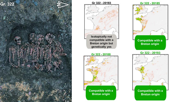 In 15th century located in western France mass grave found with likely isotope geographic origins.